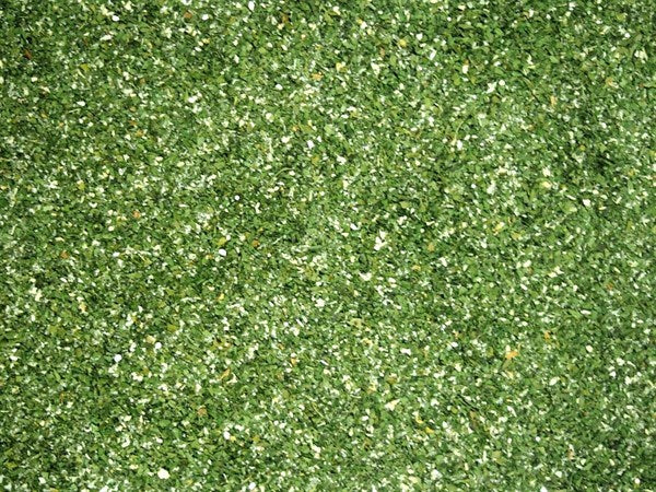 Condimento para mantequilla de hierbas - 100 g