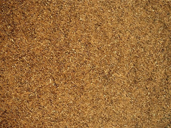 Comino checo triturado - 100 g