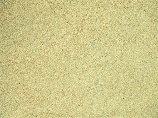 Rábano picante molido - 100 g