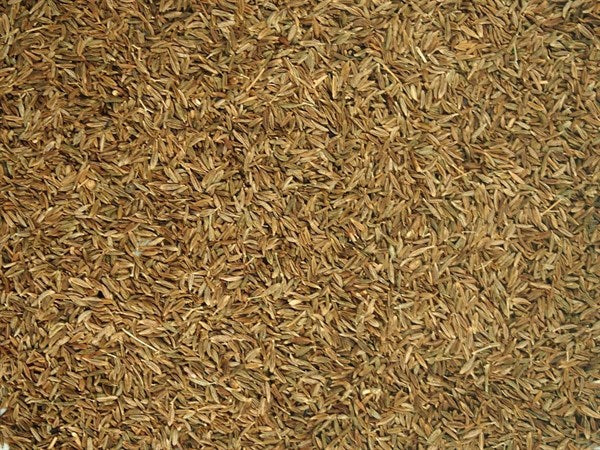 comino romano entero - 100 g