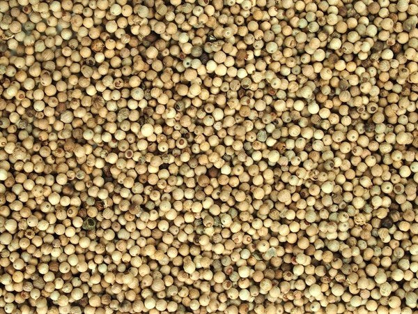 Pimienta blanca entera - 100 g