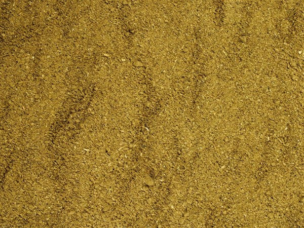 Condimento para lo salvaje - 100 g