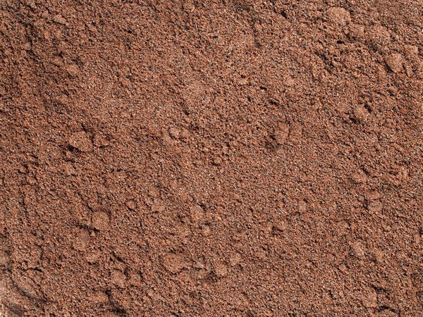 Vainilla molida de Madagascar - 100 g