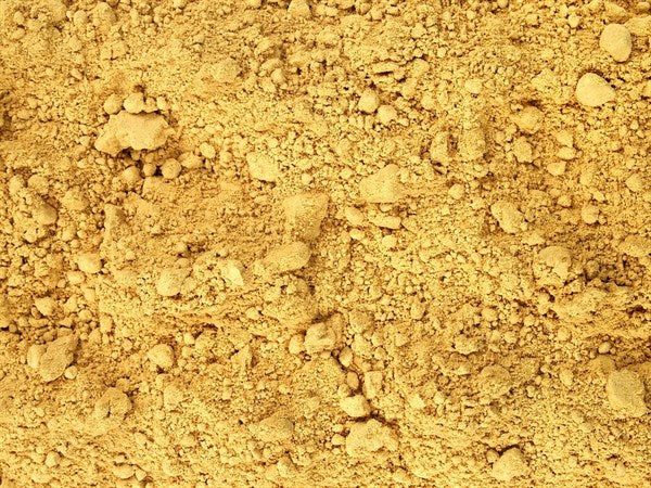 Jengibre molido BIO - 100 g