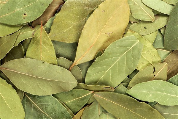 Hoja de laurel ecológica entera - 100 g