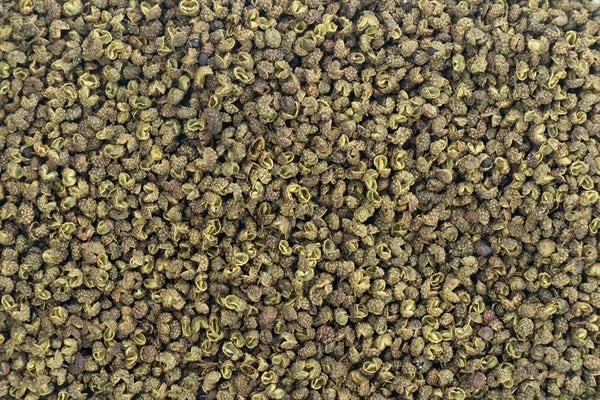 Pimiento verde de Sichuan entero - 100 g