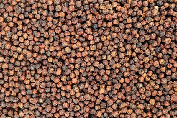 Pimiento Kampot rojo BIO - 100 g