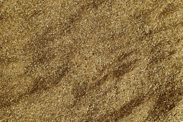 Tostadas de Almendras Ecológicas - 100 g