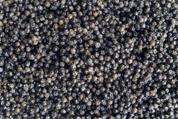 Pimienta negra fermentada ecológica - 100 g