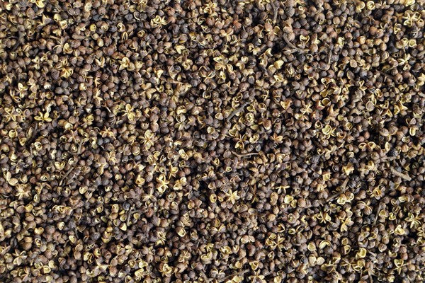 Pimienta Mac Khen - 100 g