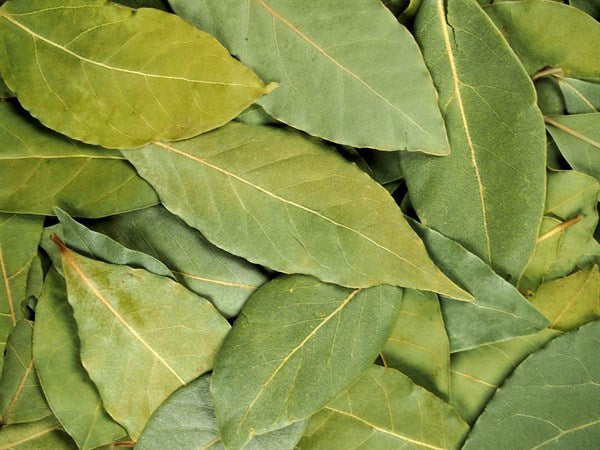 Hoja de laurel entera - 100 g
