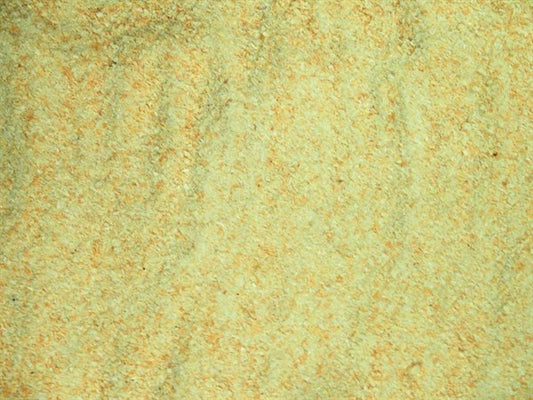 Cebollas picadas - 100 g