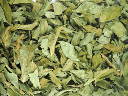 Hojas de curry - 100 g.