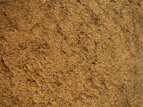 Comino checo molido - 100 g