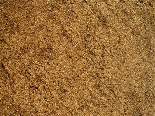 Comino checo molido - 100 g