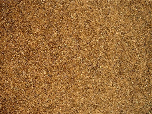 Comino checo triturado - 100 g