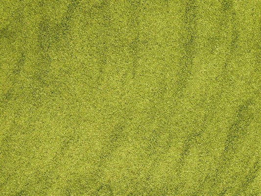 Pimiento verde molido - 100 g