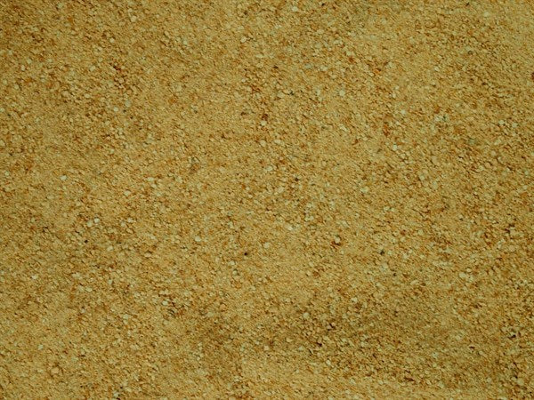 Piel de limón molida - 100 g