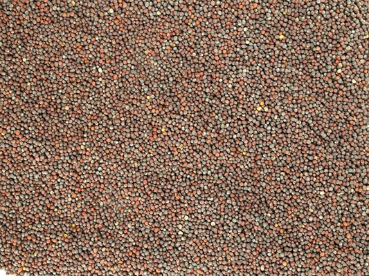 Mostaza negra entera - 100 g