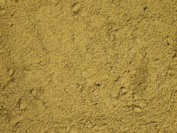 Hinojo molido - 100 g