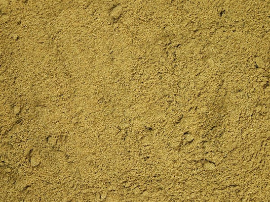 Hinojo molido - 100 g