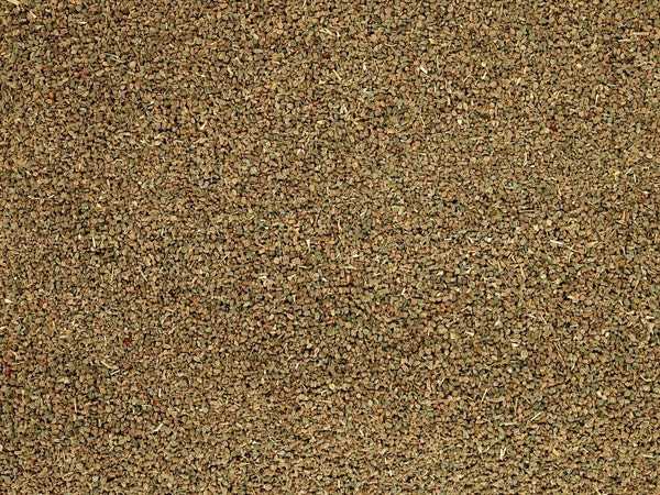 Semilla de apio - 100 g