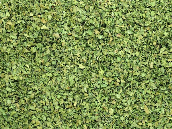 Hoja de cilantro - 100 g