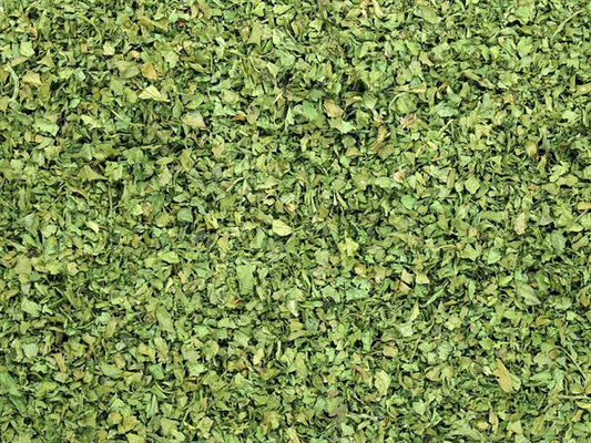Hoja de cilantro - 100 g