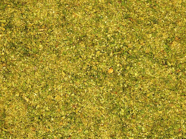 Especias Pescado con Hierbas - 100 g