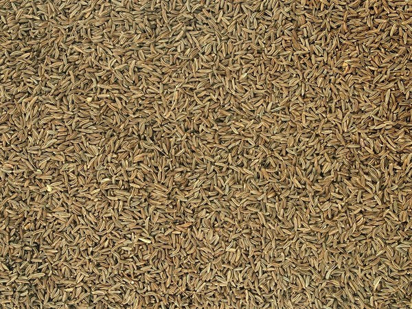 Comino checo ecológico entero - 100 g