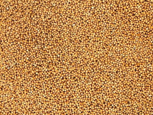 Mostaza blanca integral ecológica - 100 g