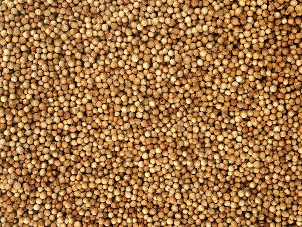 Cilantro orgánico entero - 100 g