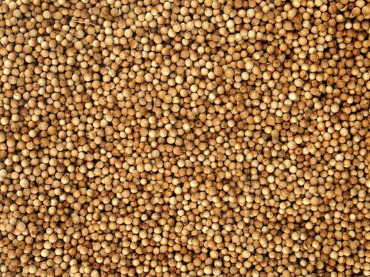 Cilantro orgánico entero - 100 g