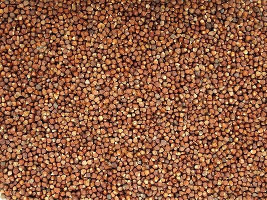 Pimiento de Guinea - semillas de tomate - 100 g