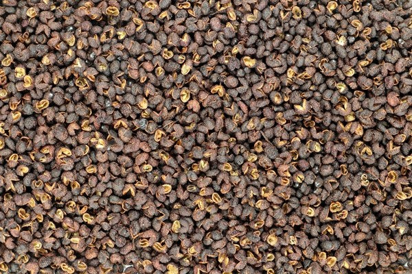 Pimienta de Sichuan Timut entera BIO - 100 g