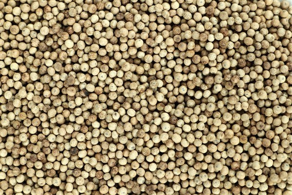 Pimienta blanca Kampot - 100 g