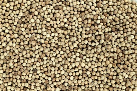 Pimienta blanca Kampot - 100 g